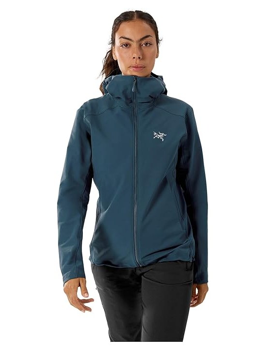 Arcteryx Gamma Hoody Womens, Nightscape 1